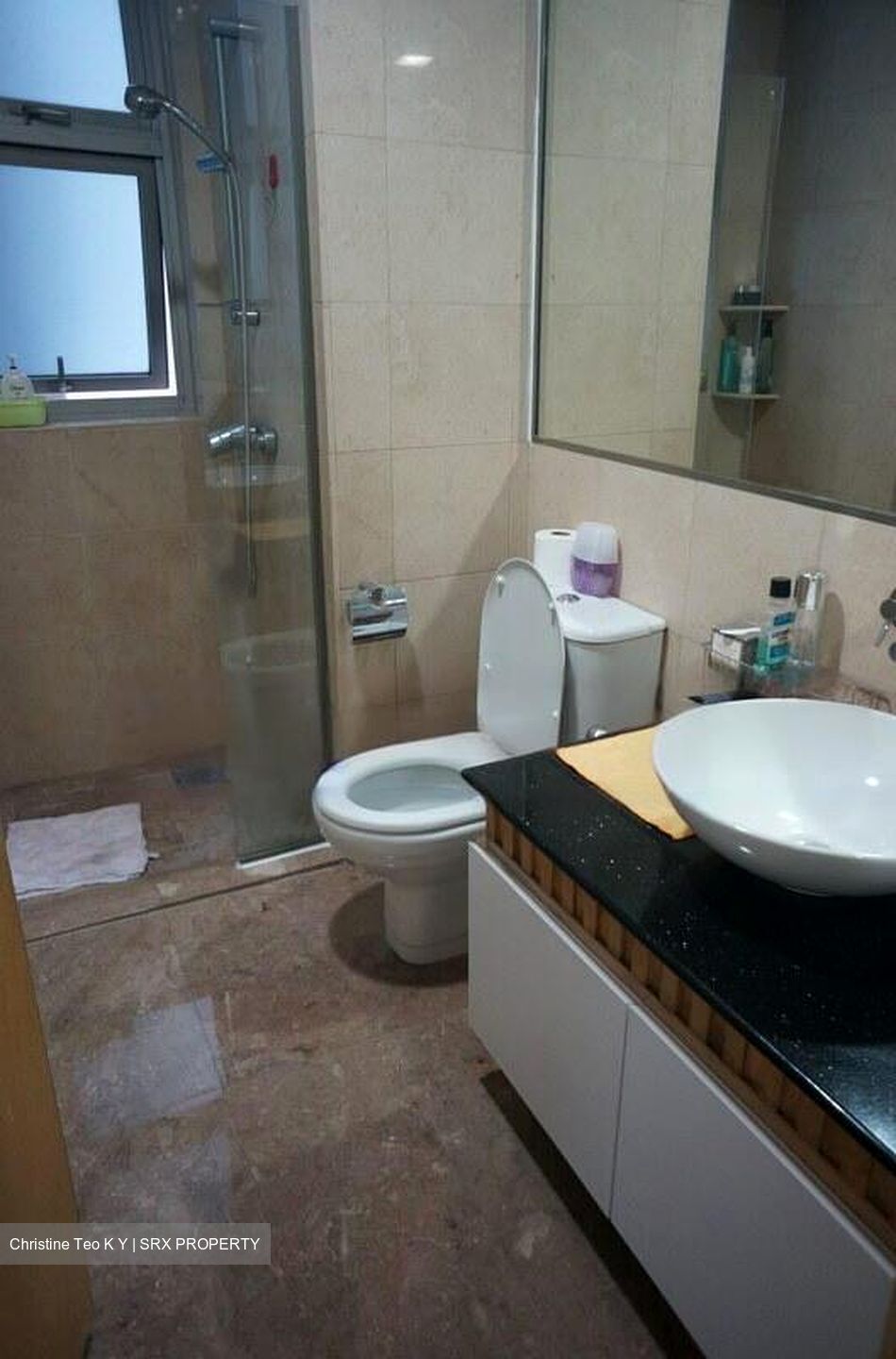 Cairnhill Crest (D9), Condominium #489507321